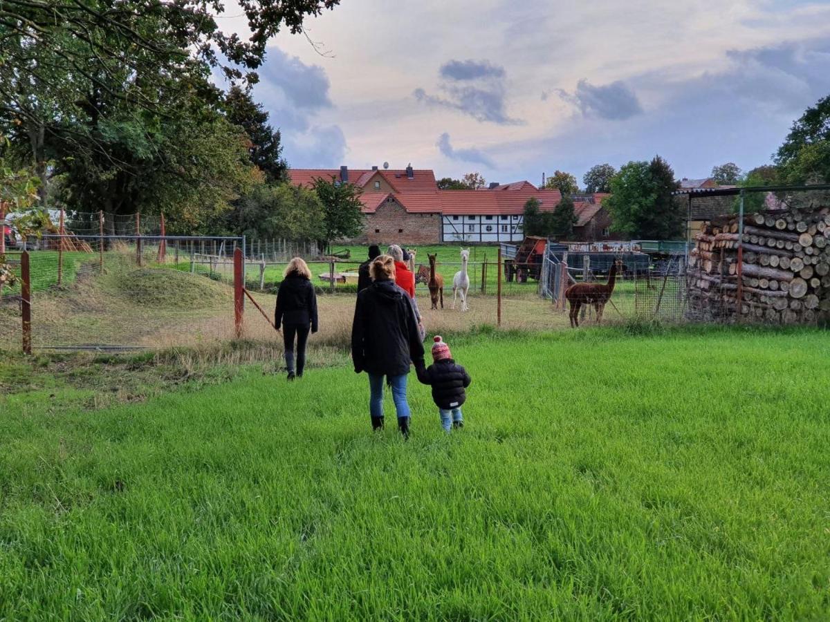 Elsterheide Gelbes Haus Seenland Ferienwohnungen Xl מראה חיצוני תמונה